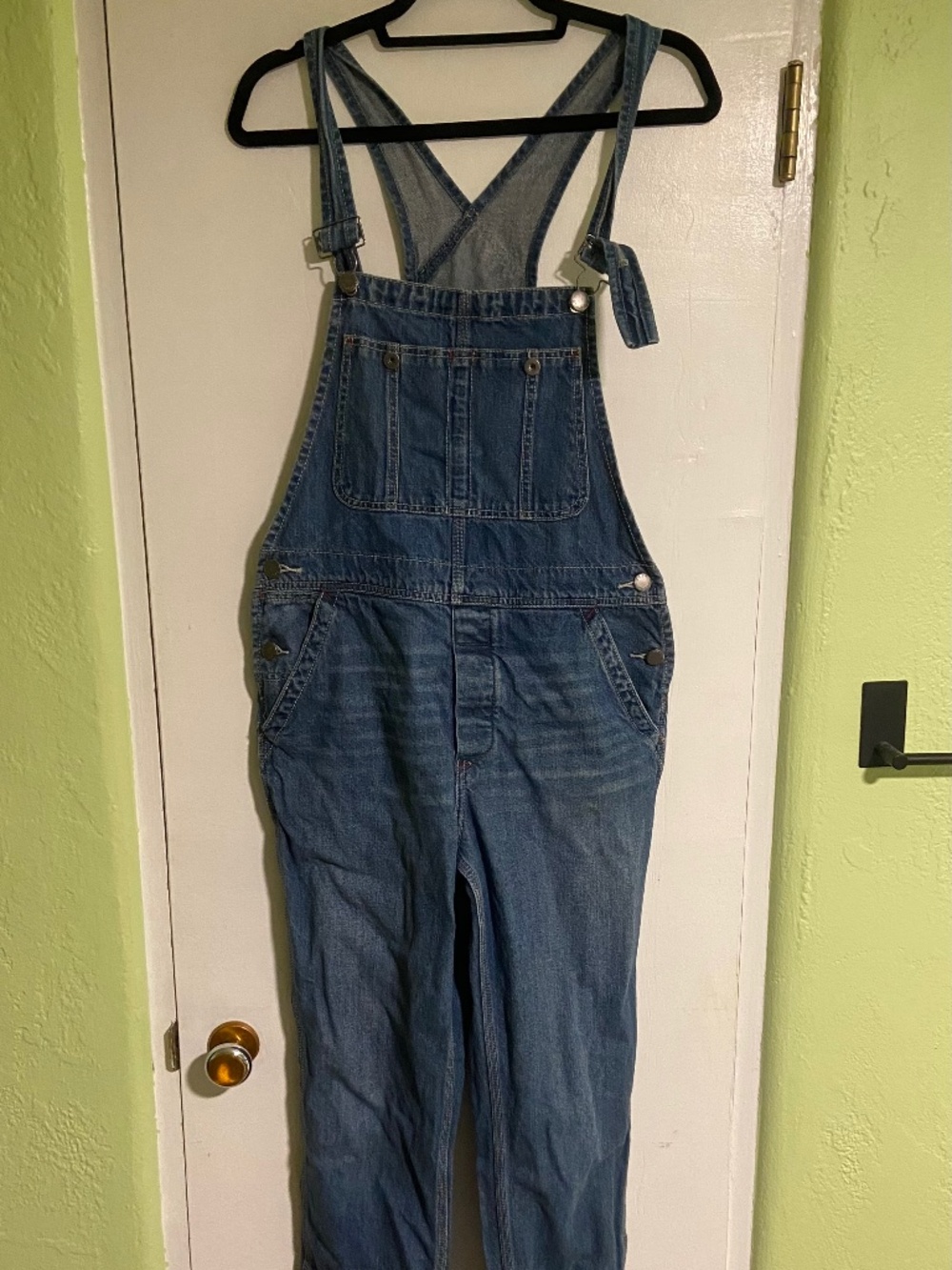 Free People We the Free Overalls